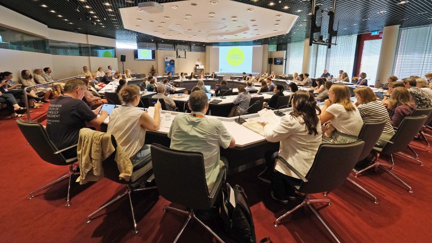 Teilnehmende der DAAD-Netzwerkkonferenz 2024 während einer Session im Bonner Wissenschaftszentrum