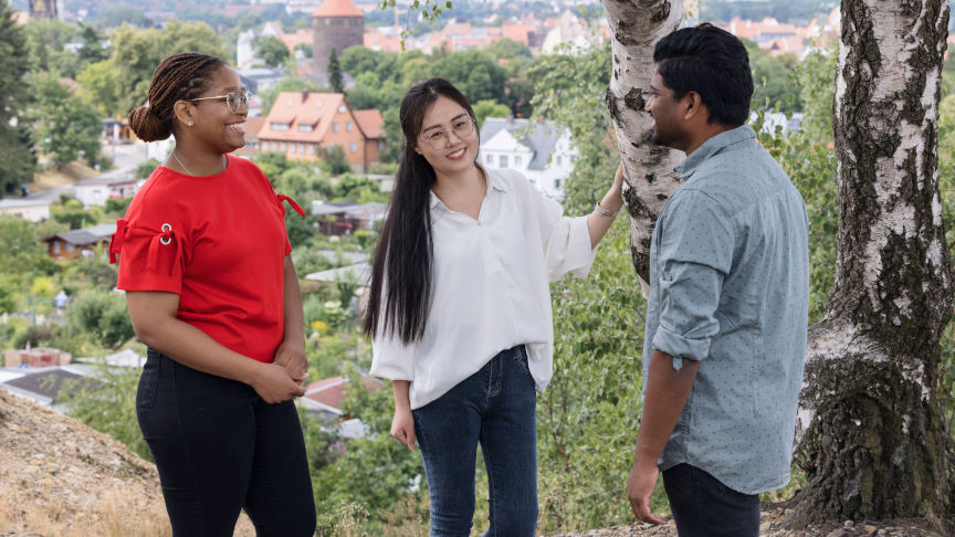 Internationale Studierende unterhalten sich auf einem Hügel vor einer deutschen Stadt
